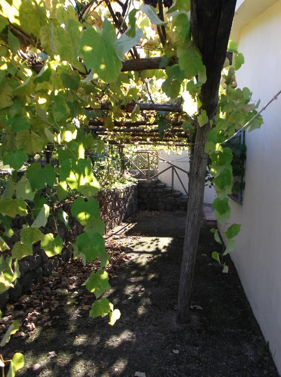 טרקינה Agriturismo Collevento מראה חיצוני תמונה