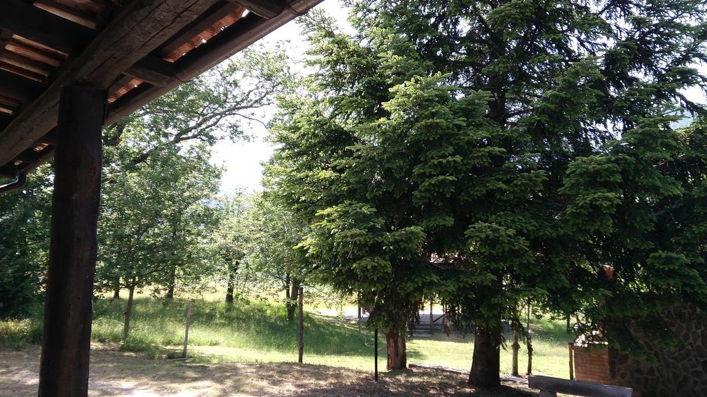 טרקינה Agriturismo Collevento מראה חיצוני תמונה