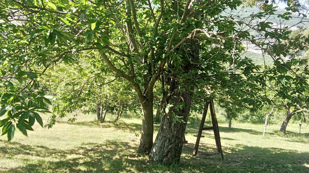 טרקינה Agriturismo Collevento מראה חיצוני תמונה