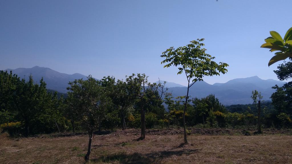 טרקינה Agriturismo Collevento מראה חיצוני תמונה